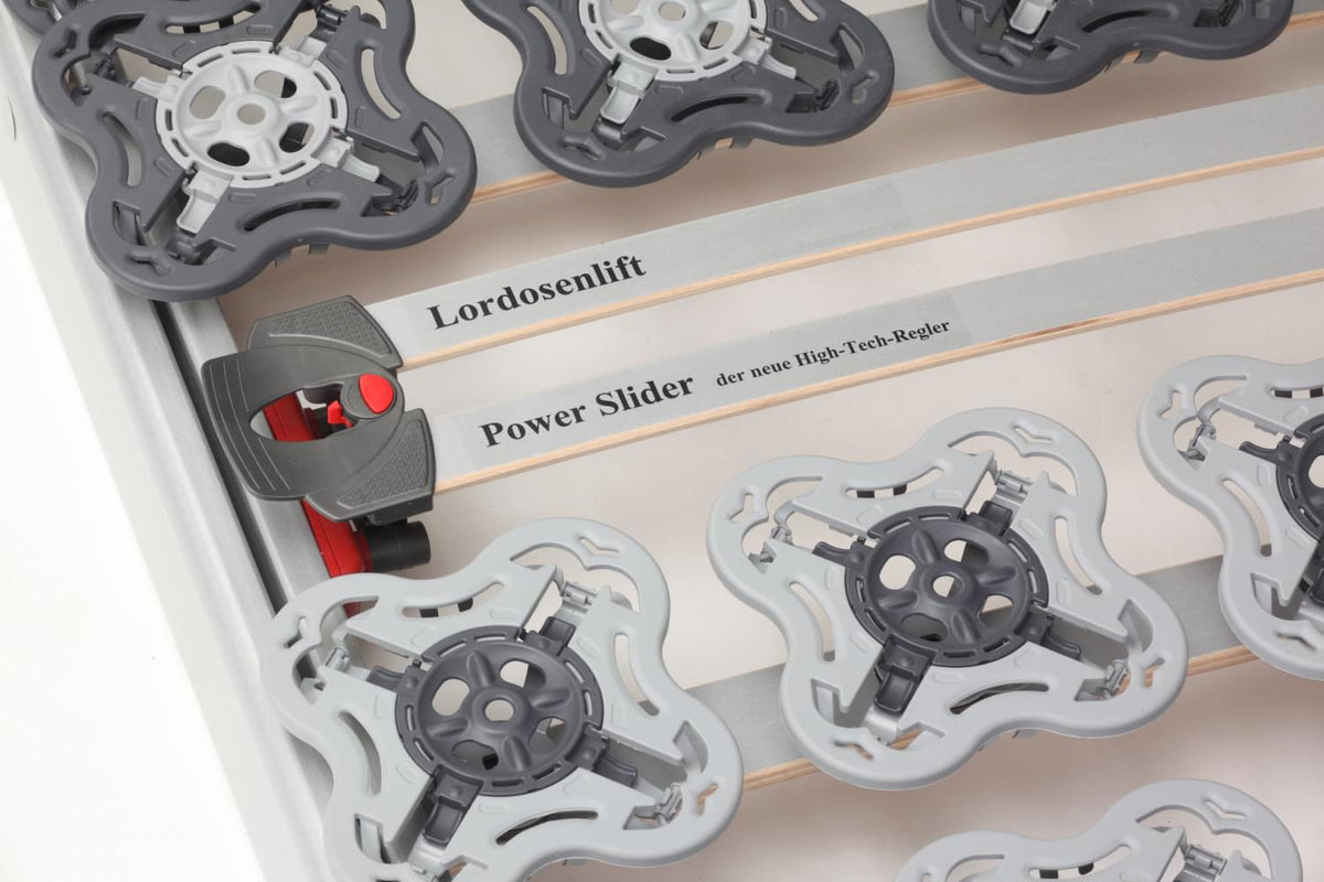Lattenrost Modul+ Vario FFB Elektrisch mit Funkfernbedienung SWISSpur