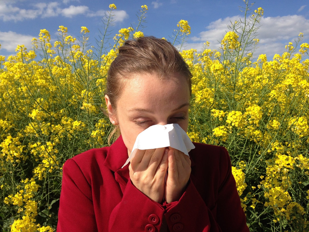 Die besten Matratzen für Allergiker und empfindliche Haut